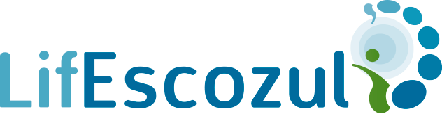 Logo de la empresa Lifescozul
